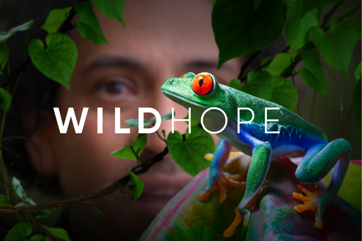 Inspiring Hope Through Stories of Conservation thumbnail image